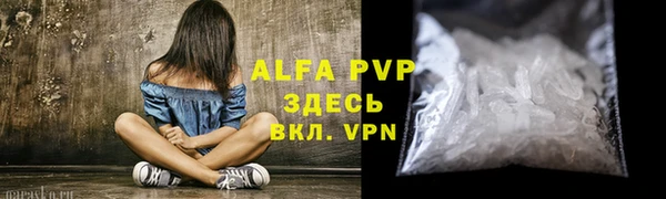 стаф Абаза