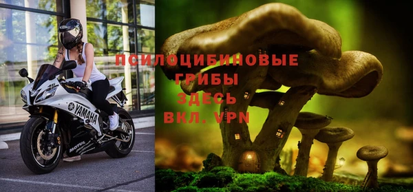стаф Абаза