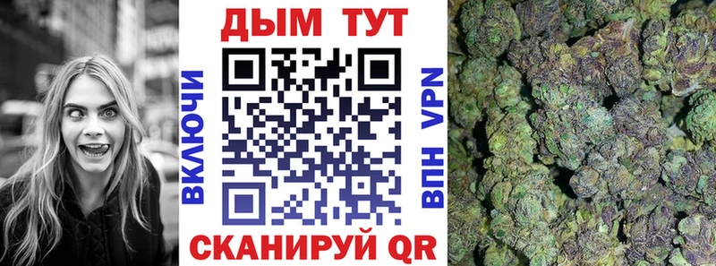 купить наркотик  Гусиноозёрск  Канабис план 